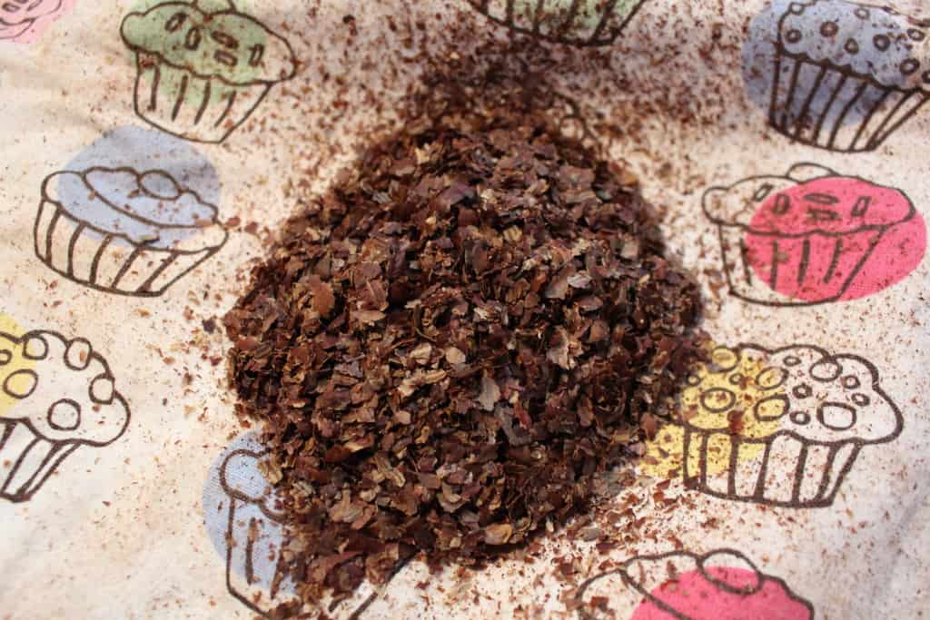 Roasted hazelnuts
